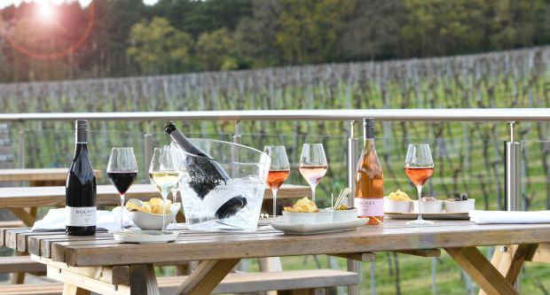 Outdoor dining at Bolney Wine Estate